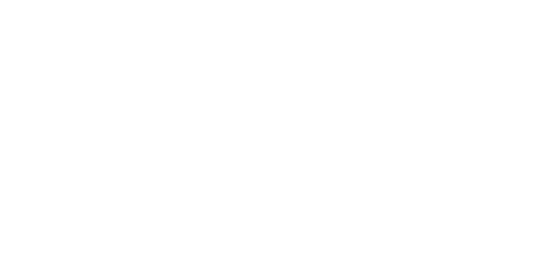 日本M&Aセンター透かしロゴ